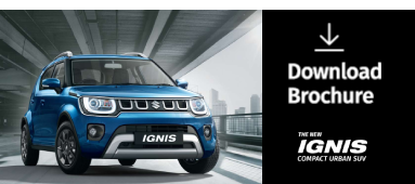 Ignis logo