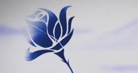 NEXA Blue - The colour of our innovation