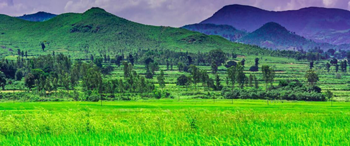 Araku Valley banner